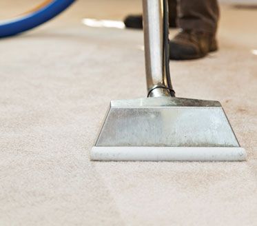 home-carpet-cleaning